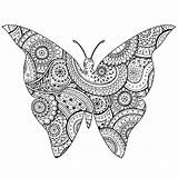 Butterfly shape With Patterns  Butterflies & Insects Coloring Pages sketch template