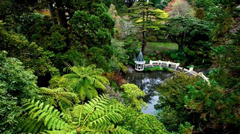 Botanic Gardens in Wellington, | Expedia
