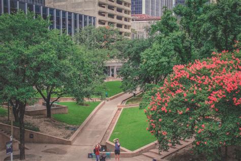 Best Parks In Dallas For a Picnic Escape - Passport To Eden