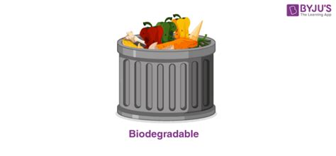 Biodegradable And Non-Biodegradable - Definition & Examples of ...