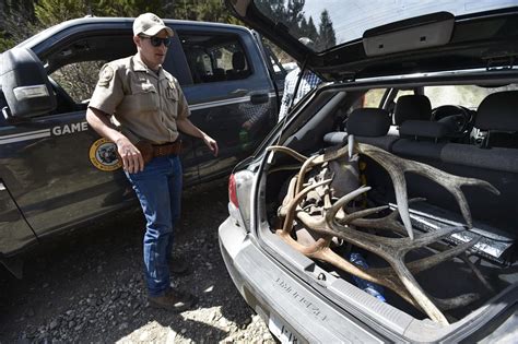 Montana game wardens aim for 'level playing field' during annual Sun River antler hunt