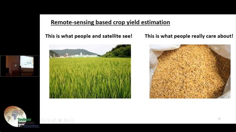 Crop Yield Estimation from Satellite for Tropical Agriculture - YouTube