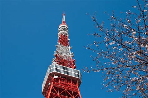 940+ Tokyo Tower Cherry Blossom Stock Photos, Pictures & Royalty-Free ...