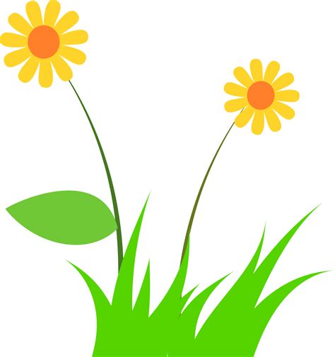 grass, grass flower. summer grass 9635356 PNG