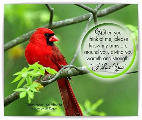 Quotes about Cardinal bird (24 quotes)