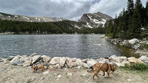 Fall River Reservoir has free camping without reservations in Colorado - Axios Denver