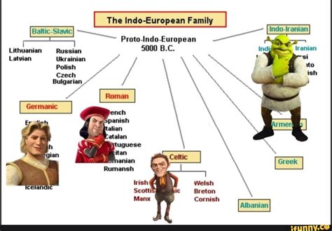 The Indo-European Family [Baltic-Stavic] [Indo-tranian] Proto-Indo-European india 5000 B.C. di ...