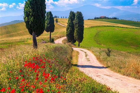 5 Best Local and Cultural Experiences in Tuscany | kimkim