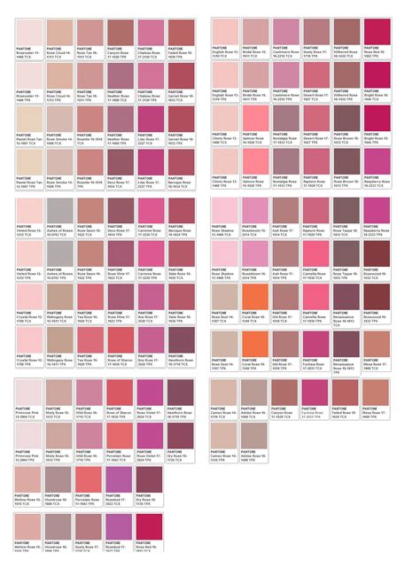 Pinks | October Sky Paleta Pantone, Pantone Palette, Pantone Colour Palettes, Pink Color Chart ...