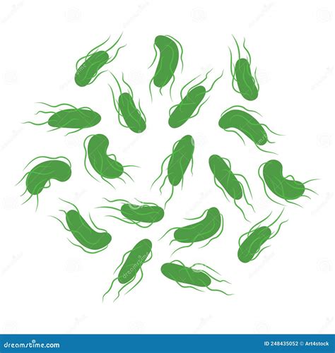 Salmonella Typhi Bacteria Cell Medical Diagram Icon Stock Vector ...