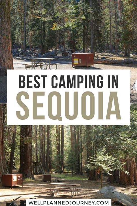 The Ultimate Guide to the Best Camping in Sequoia National Park