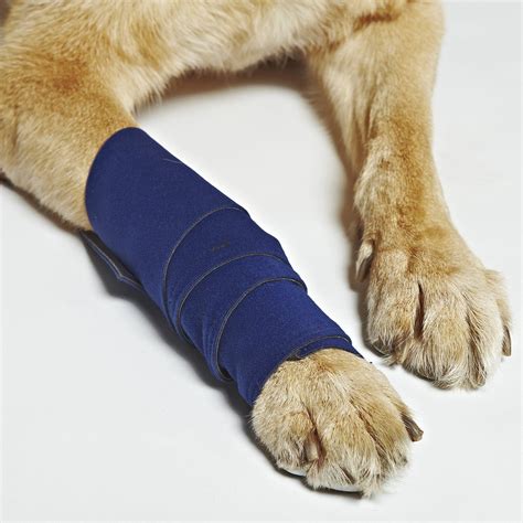 HEALERS Medical Leg Wraps with Gauze Pads, Medium | Petco | Dog leg, Petco, Pet wound care