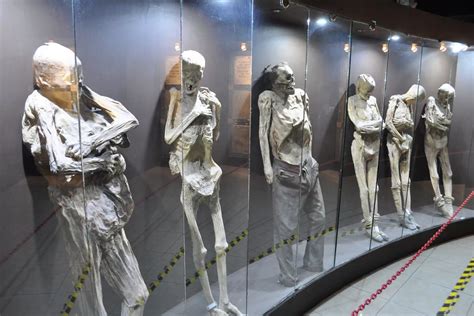 Guanajuato Mummy Museum - Mirror Online