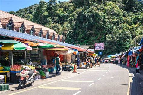 Cameron Highlands attractions: the ultimate travel guide - CK Travels