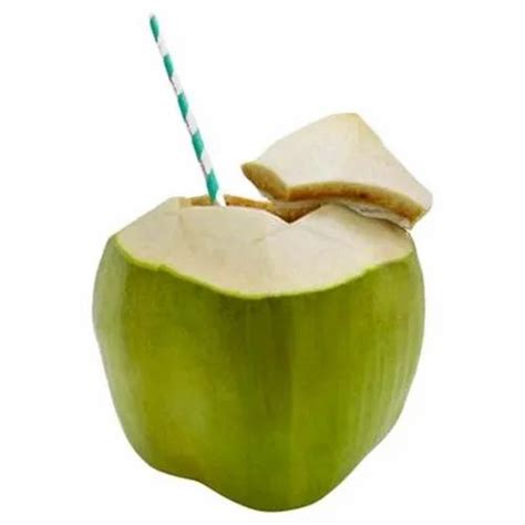 A Grade Solid Tender Coconut at Rs 100/piece in New Delhi | ID: 24322712491