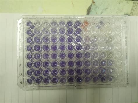 702 questions with answers in MTT ASSAY | Scientific method