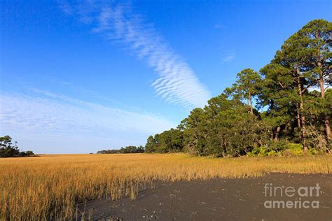 Pluff mud and salt marsh at Hunting Island State Park Photograph by Louise Heusinkveld - Fine ...