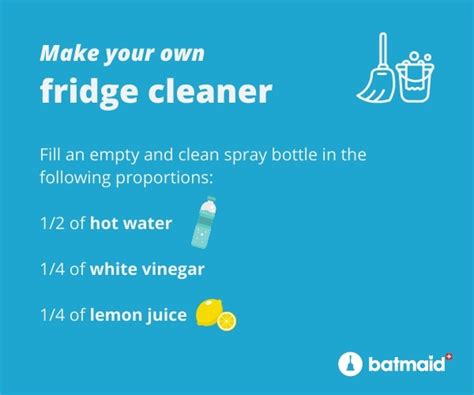 How to clean and disinfect a fridge naturally | blog