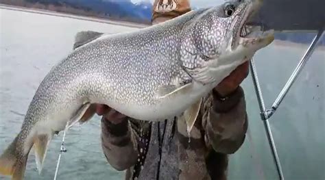 Flathead Lake Fishing [VIDEO] - Montana Hunting and Fishing Information