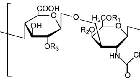 Bioibérica obtains approval for its chondroitin sulfate as an ethical