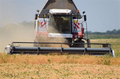 Harvesting Peas with a Combine Harvester. Harvesting Peas from the Fields Editorial Photo ...