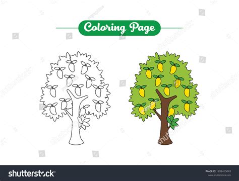 Mango Tree Clip Art Black And White