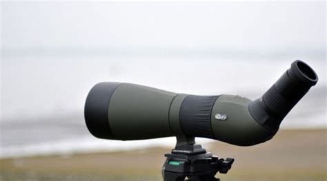 Complete Bird Watching Equipment List (Must-Haves For Birders) - Binocular Base