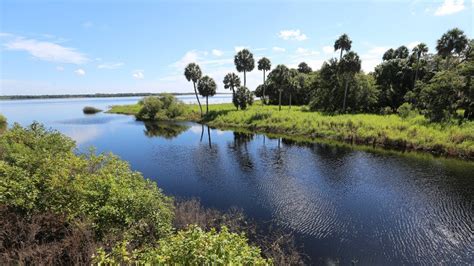 Florida Travel: Explore Myakka River State Park - YouTube