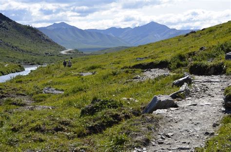 Hiking - Denali Dome Home