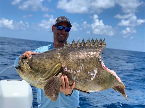 Huge fish bitten in half by shark moments after angler got out of the water