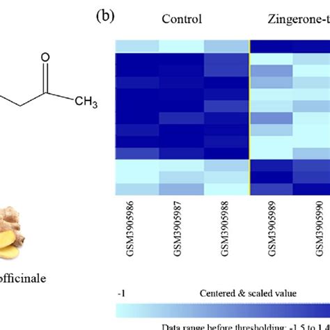 a Chemical structure of zingerone [4-(4-hydroxy-3-methoxyphenyl)... | Download Scientific Diagram