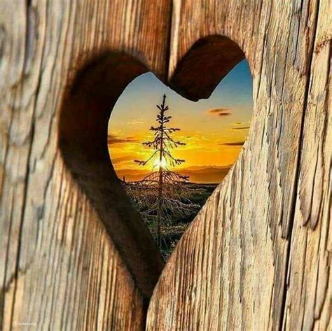 Un amor por la naturaleza | A love of nature - #atardeceres #sunsets #corazones #hearts | Arte ...