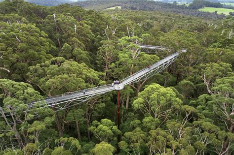 Tree Top Walk has re-opened | Explore Parks WA