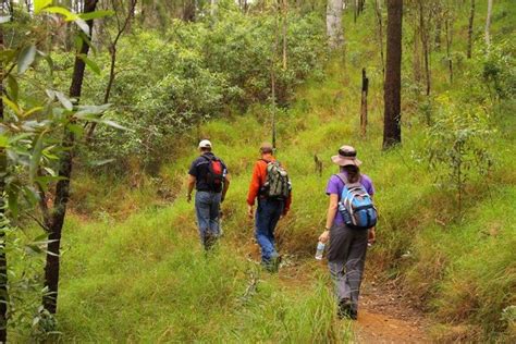 Goon Goon Dhina (Culture Circuit) (2.8km), Blackdown Tableland National ...