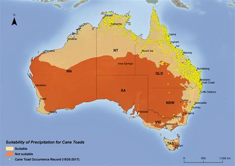 Cane Toad Distribution Map