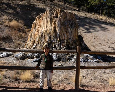 Explore a 34 Million-Year-Old Forest at Florissant Fossil Beds National Monument - Wandering ...