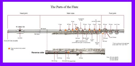 Music Instruments