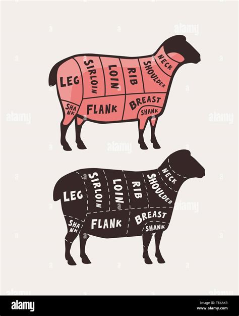 Lamb Meat Cuts Diagram