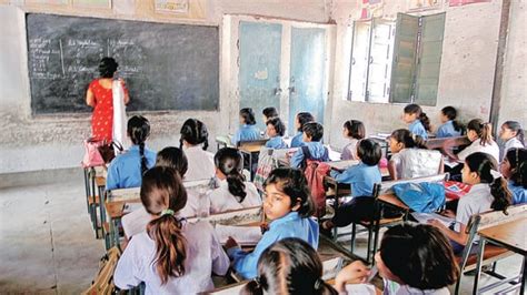 Opinion | Primary school teachers are more valuable than we think