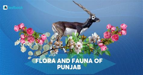 Flora and Fauna of Punjab: List of Flora, List of Fauna Here!