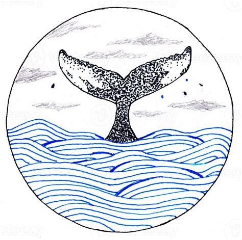 blue whale illustration 22750048 PNG