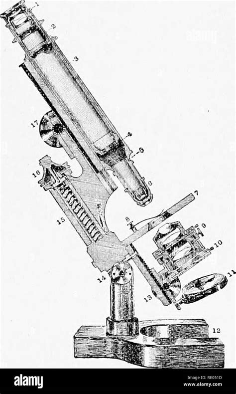 Robert brown microscope Cut Out Stock Images & Pictures - Alamy