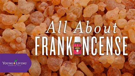 All About Frankincense | Young Living Essential Oils - YouTube