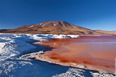 Laguna Colorada, Bolivia | Wonders of the world, Tourism, Natural landmarks