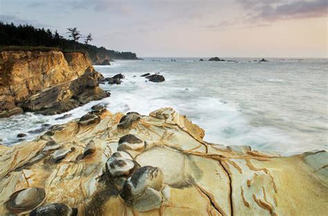 Shore Acres State Park Oregon by Alan Majchrowicz