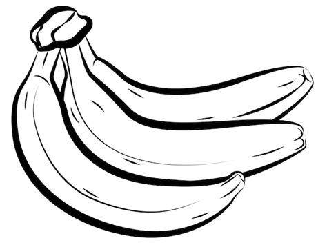 Premium Vector | Linear drawing banana, sketch for coloring booking page