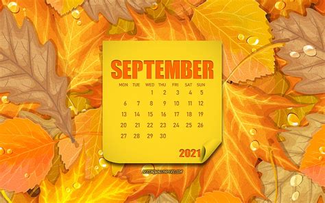 2021 September Calendar, autumn backgrounds with leaves, September, autumn leaves background ...