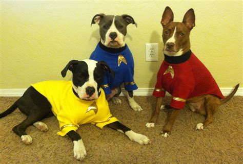 Star Trek Dog Costumes XS to XL