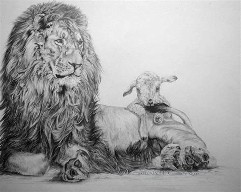 Lion and lamb by ~ElusiveDreams07 on deviantART | Images-Biblical | Pinterest | Lambs, Lions and ...