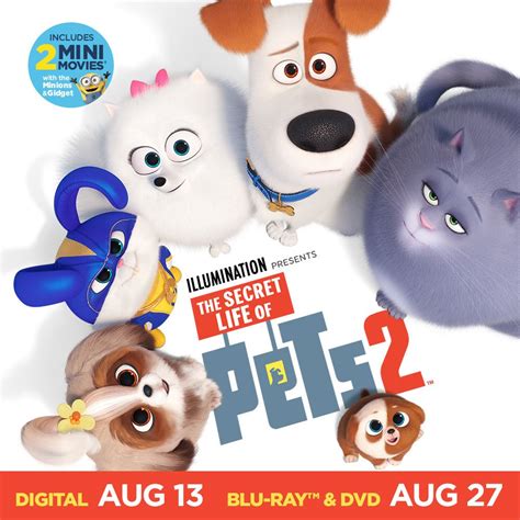 The secret life of pets 2 2019 dvd release date - grayever